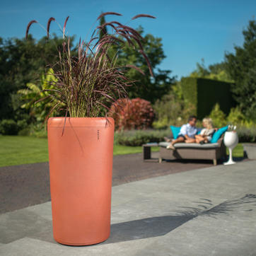 Onze producten