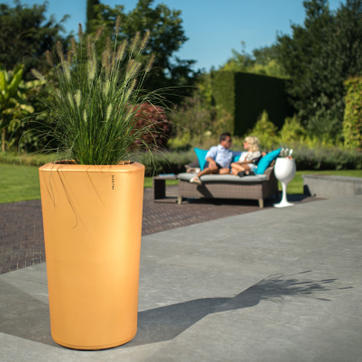 Onze producten