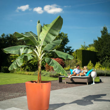 Onze producten
