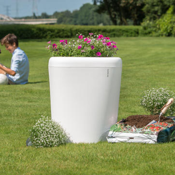 Onze producten