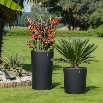 Onze producten